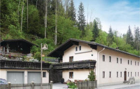 Nice apartment in Mühlbach am Hochkönig w/ WiFi and 1 Bedrooms